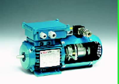 ASYNCHRONOUS MOTORS