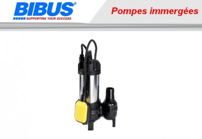 Pompe hydraulique