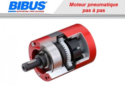 Moteur pneumatique