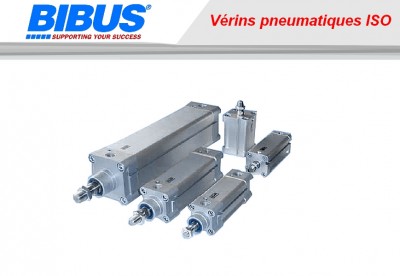 Vérins pneumatiques iso vdma/nfe à double effet pra 182000 m  PRA/182040/M/25 IMI NORGREN S 95400310