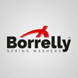 BORRELLY Spring Washers